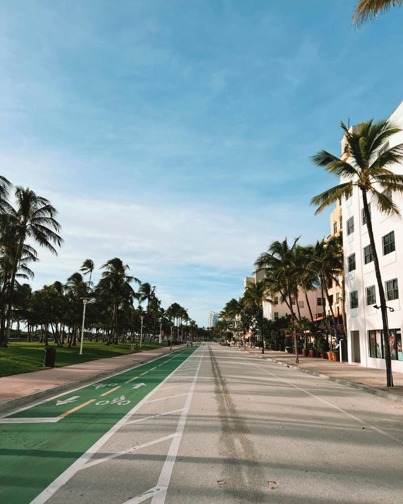Miami_split_img_1.jpg