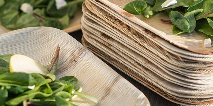 ECO's Areca Palm Leaf Plates - Ecolifestyle.shop