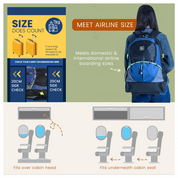 Trolley Backpack