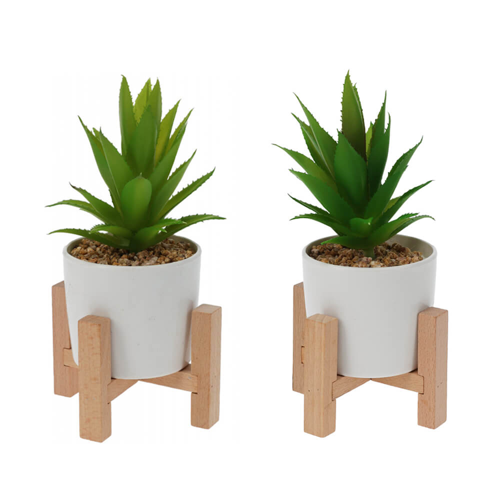 Artificial Succulent with Wooden Stand - Set of 2 