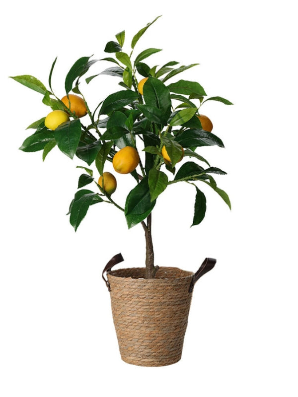 Artificial Lemon Tree with Seagrass Basket