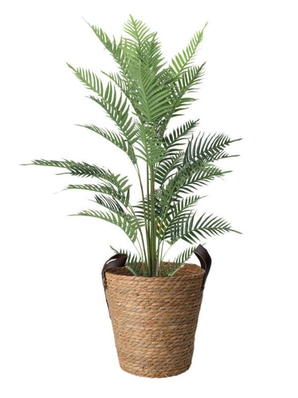 Artificial Fern Plant in Sea Grass Pot - Extra Large