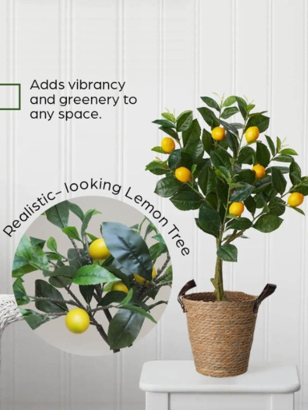 Artificial Lemon Tree with Seagrass Basket