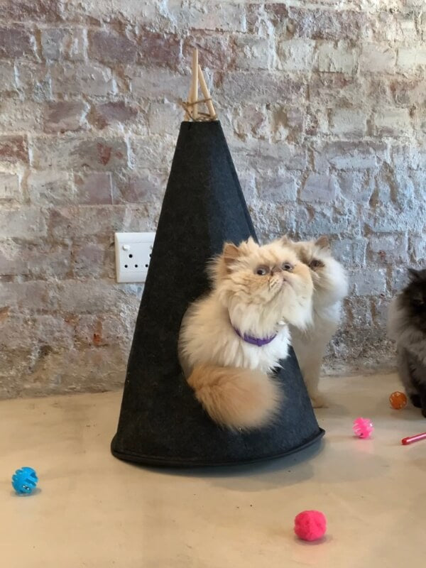 Lit pour chat Tipi - Forme de tente