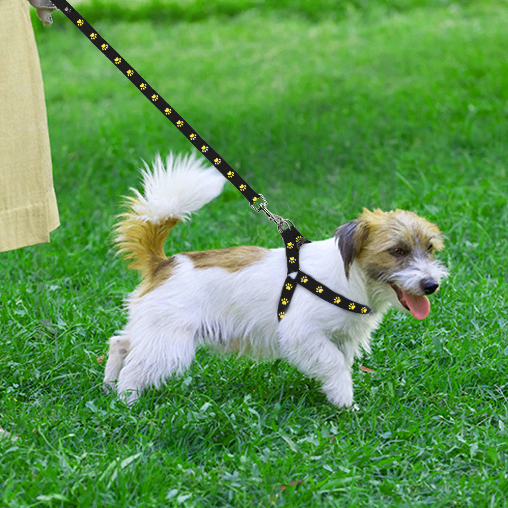 Pet Leash With Body Harness for Small Dogs