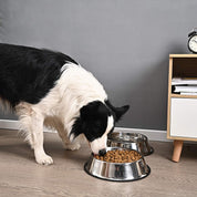 Dog Bowl - Ecolifestyle.shop