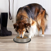 Comedero para perros con borde de goma antideslizante - 430ml 