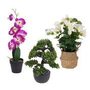 Artificial Flower Bundle - Bonsai, Orchid, Seagrass Pot Plant