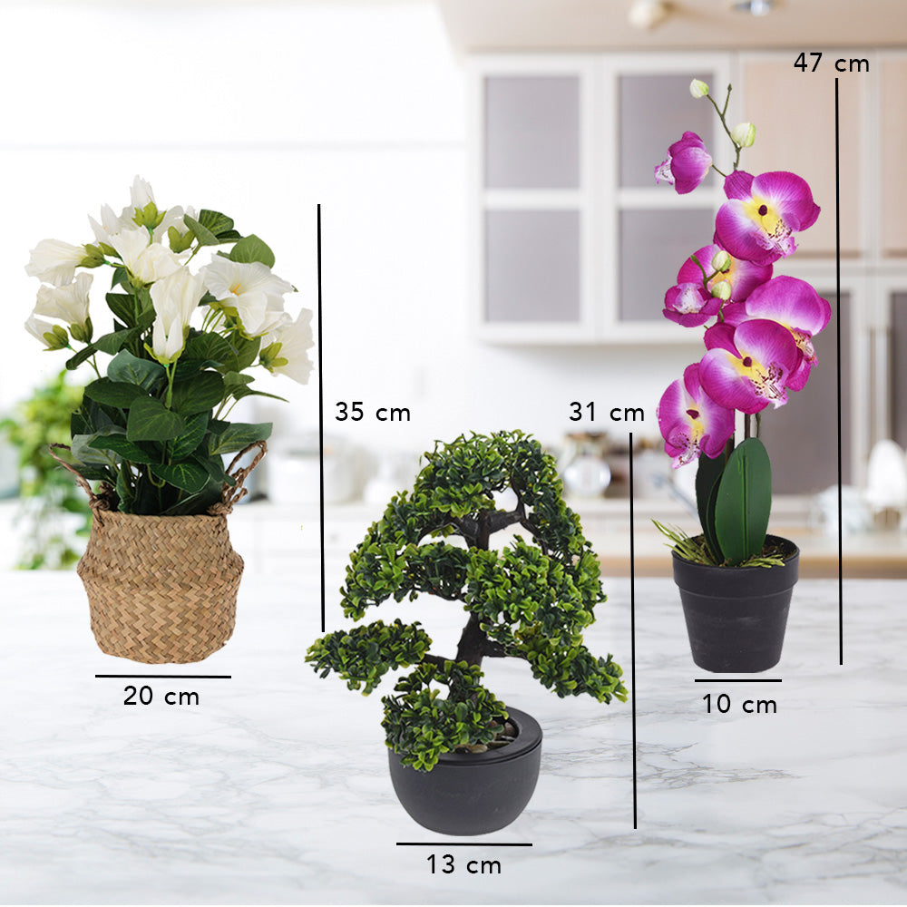 Artificial Flower Bundle - Bonsai, Orchid, Seagrass Pot Plant