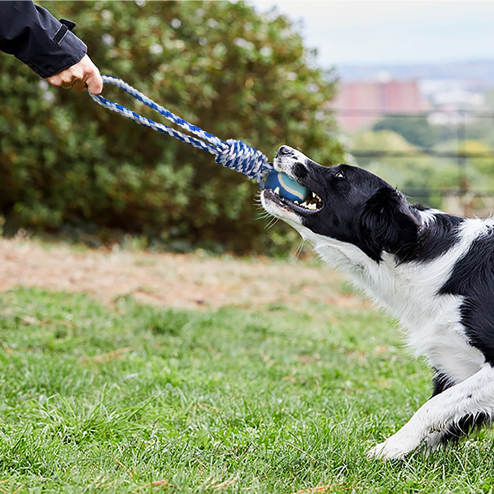 Cuerda de juguete para perros con asa y pelota de tenis - 32 cm